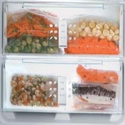 Liebherr F1051 24 Inch Built-In Full Freezer Column