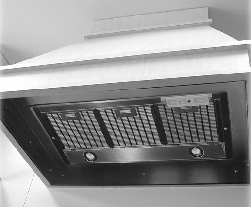 Faber INHC29SS Stainless Steel