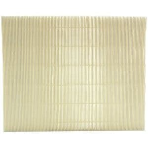 Sharp FZN40HFU Replacement Filter