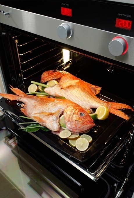 Fisher Paykel OB30SDEPX2 30" Single Electric Wall Oven