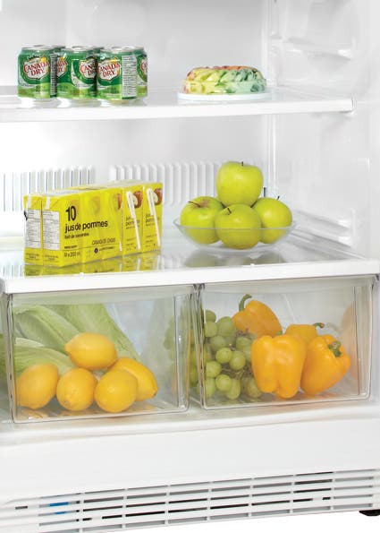 Danby DFF501WDD 17.7 cu. ft. Freestanding All-Refrigerator