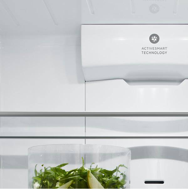 Fisher Paykel RF170ADUSX4 Ezkleen Stainless Steel