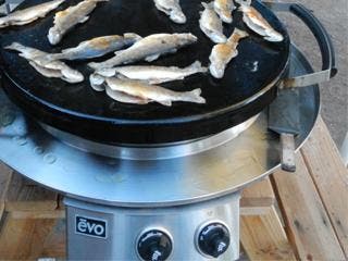 Evo EVOPET Professional Elite Tabletop
