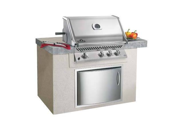 Napoleon BIPRO450RBNSS Natural Gas