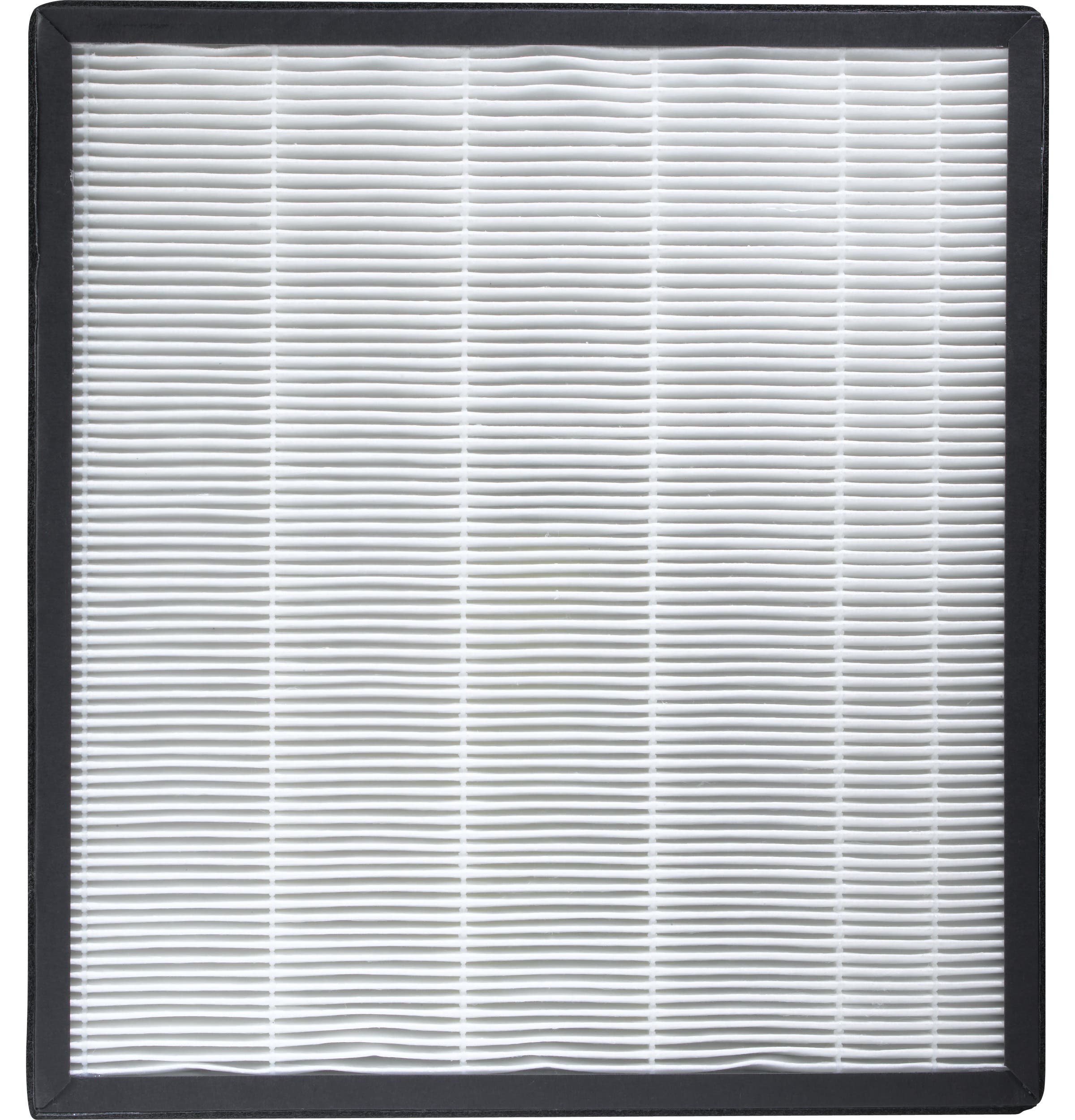 GE RAPHF1 Replacement Charcoal Filter