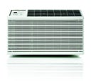 10,000 BTU Thru-the-Wall Air Conditioner with 9.8 EER, R-410A Refrigerant, 1.5 Pts/Hr Dehumidification, 24-Hour Timer, Money Saver Setting and 230/208V