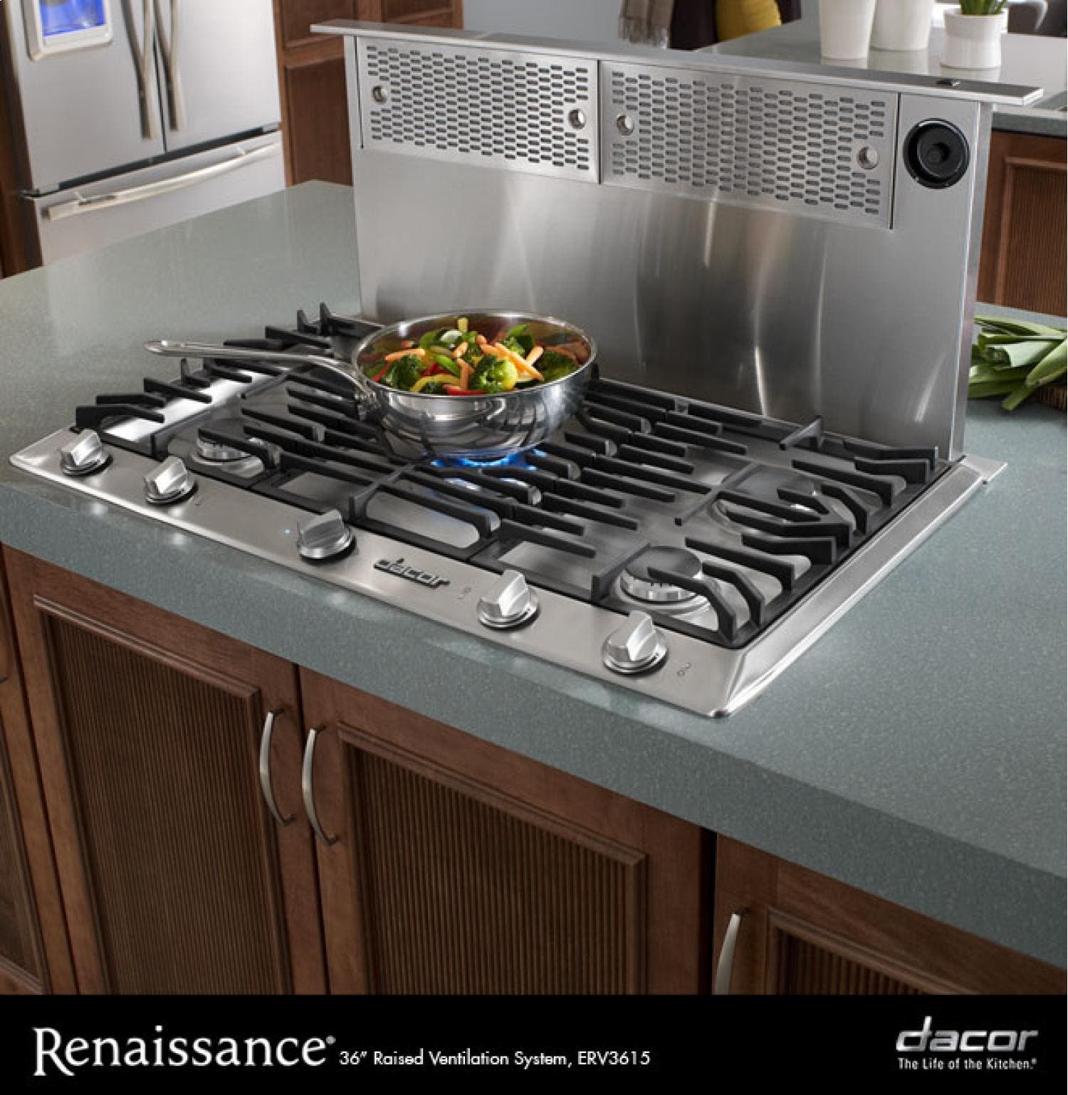 Dacor ERV48 Stainless Steel