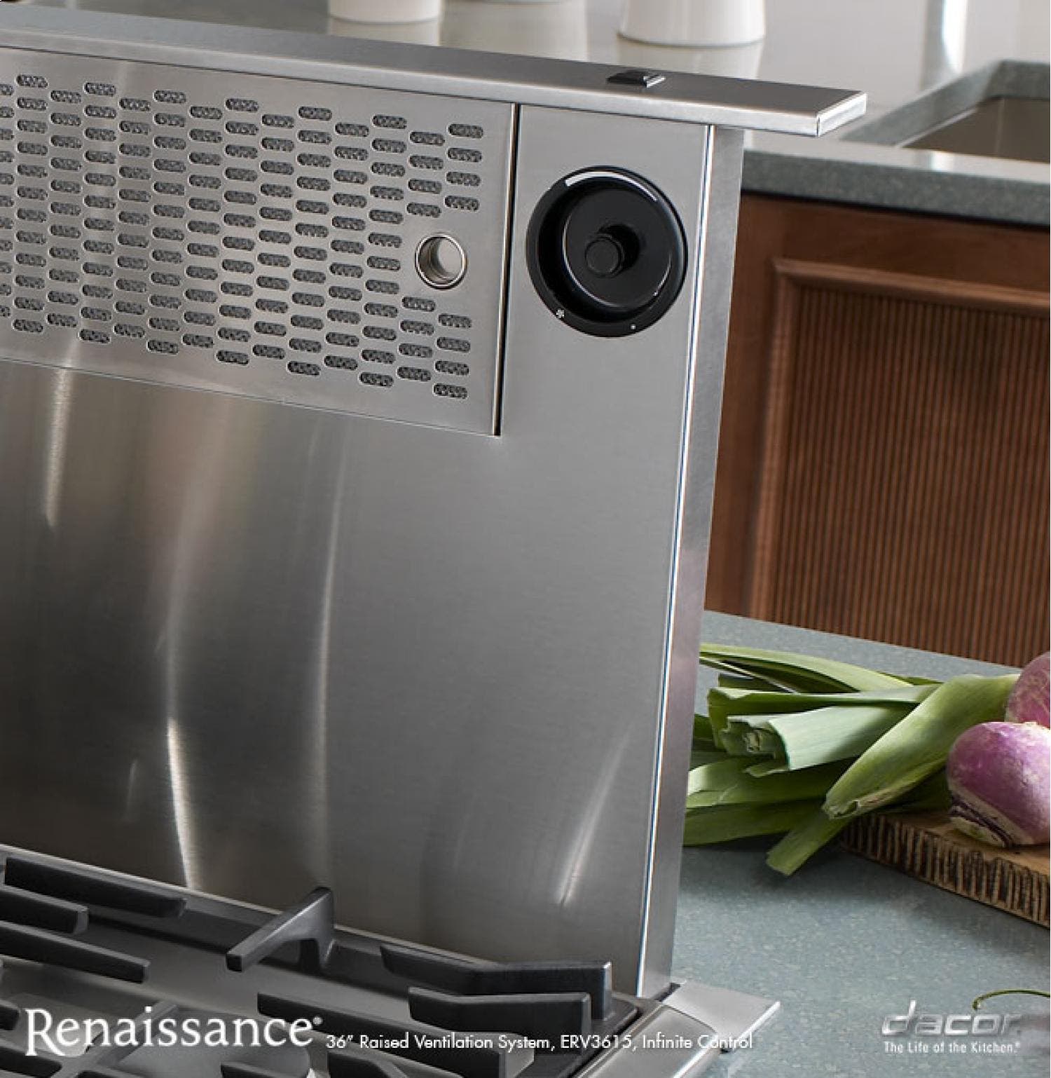 Dacor ERV48ER Stainless Steel