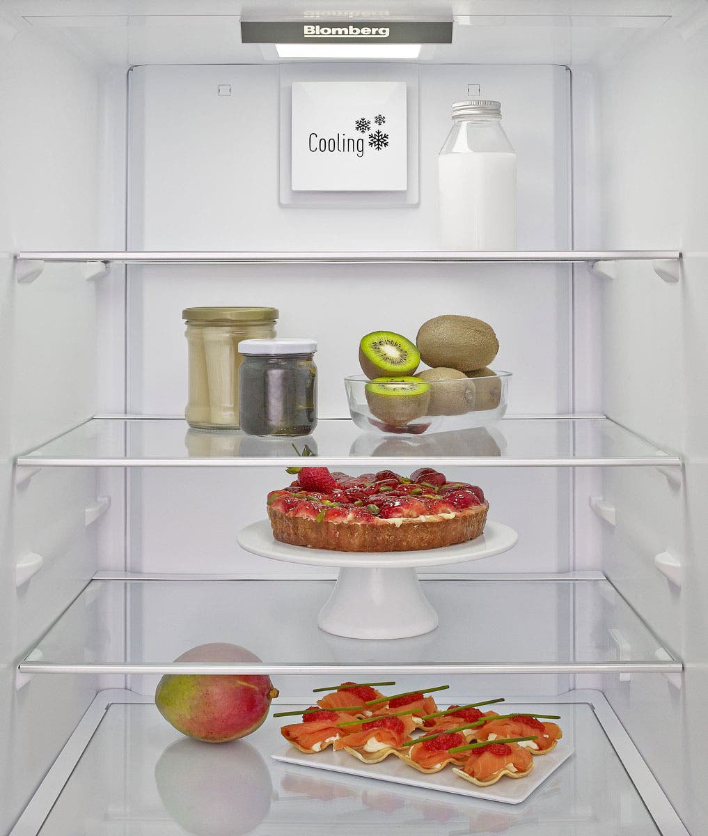 Blomberg BRFB1050FFBI 24" Built-in Bottom-Freezer Refrigerator