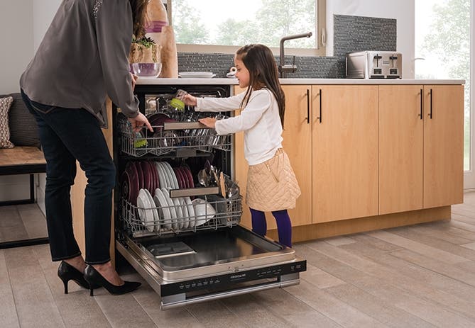 Frigidaire FPID2497RF Stainless Steel