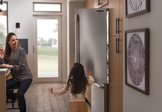 Frigidaire FPBC2277RF Stainless Steel