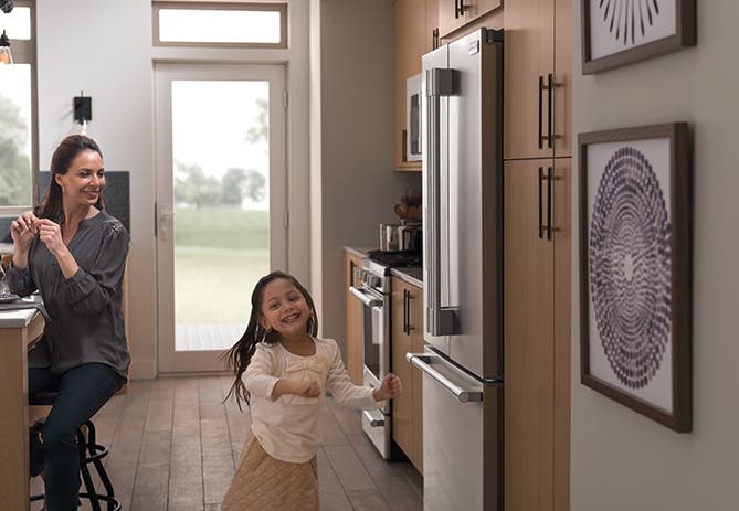 Frigidaire FPBC2277RF Stainless Steel