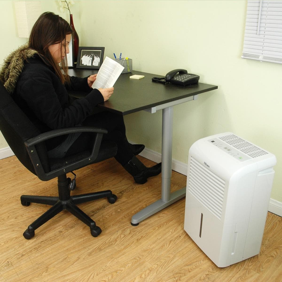 Danby DDR6009REE 60 Pint Capacity Dehumidifier