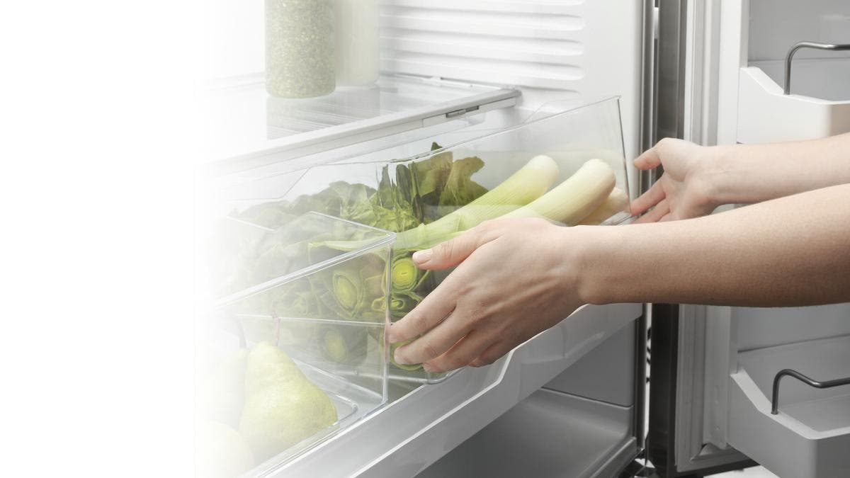 Fisher Paykel RF201ADW5 White, French Hinge