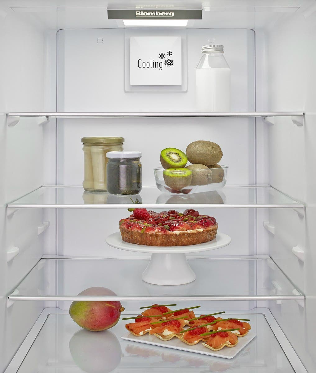 Blomberg BRFB1050FFBIN 22 Inch Built-in Bottom-Freezer Refrigerator