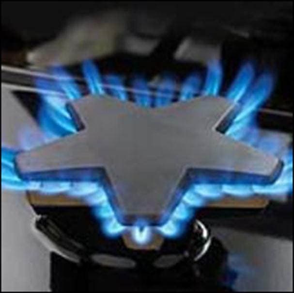 Thermador PRD48NLSGU Stainless Steel