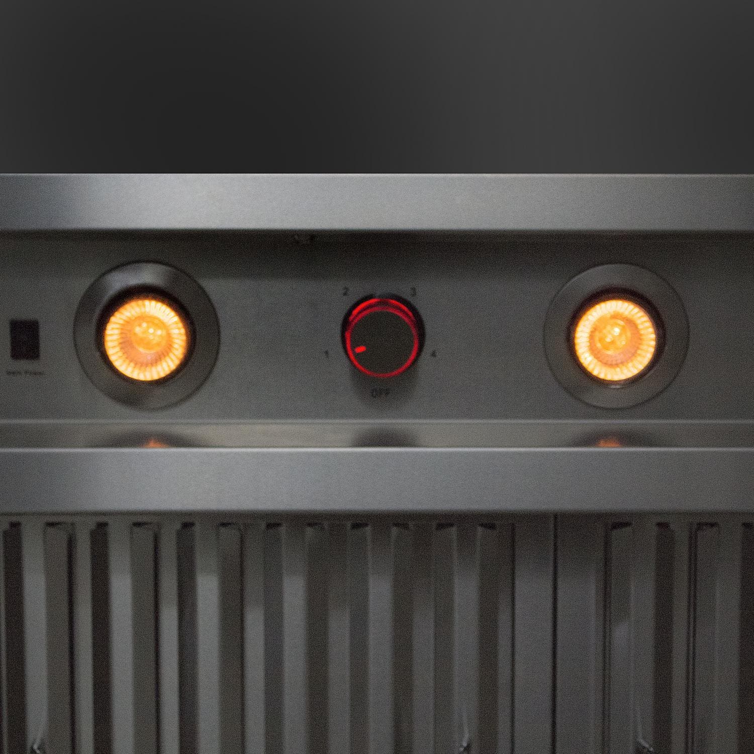 Blaze BLZWVH42 Stainless Steel
