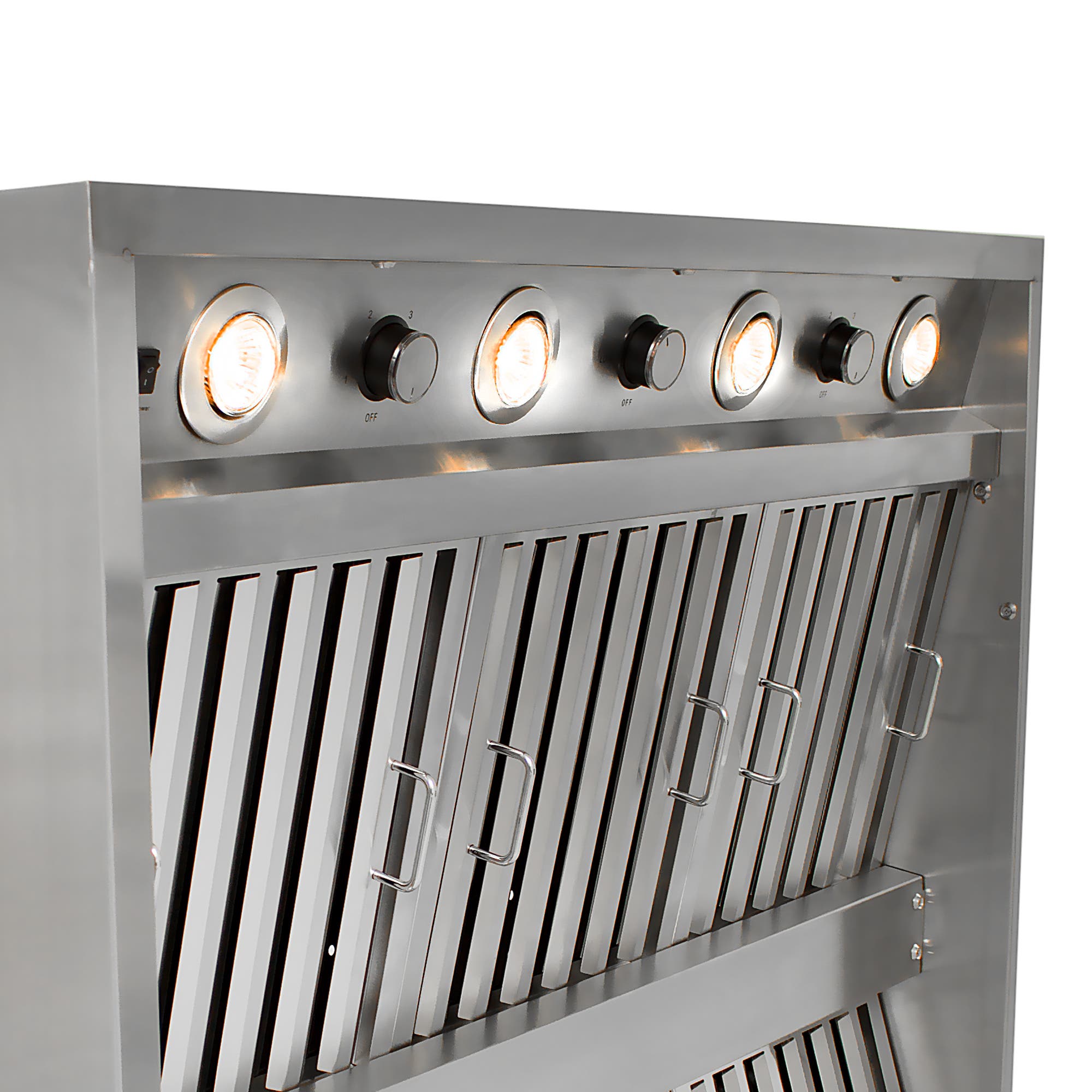 Blaze BLZWVH42 Stainless Steel