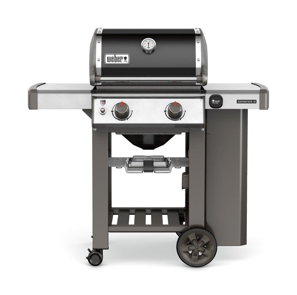 Weber 60010001 Black Liquid Propane