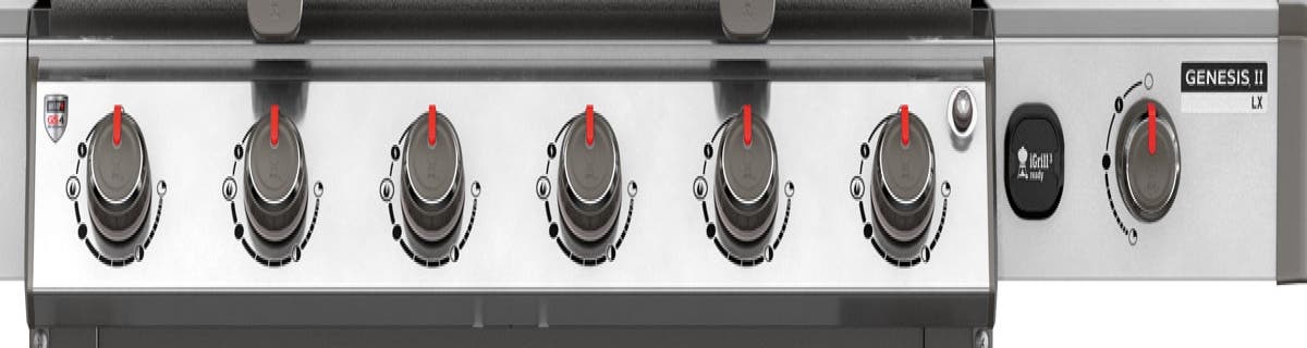 Weber 68004001 Natural Gas - Stainless Steel