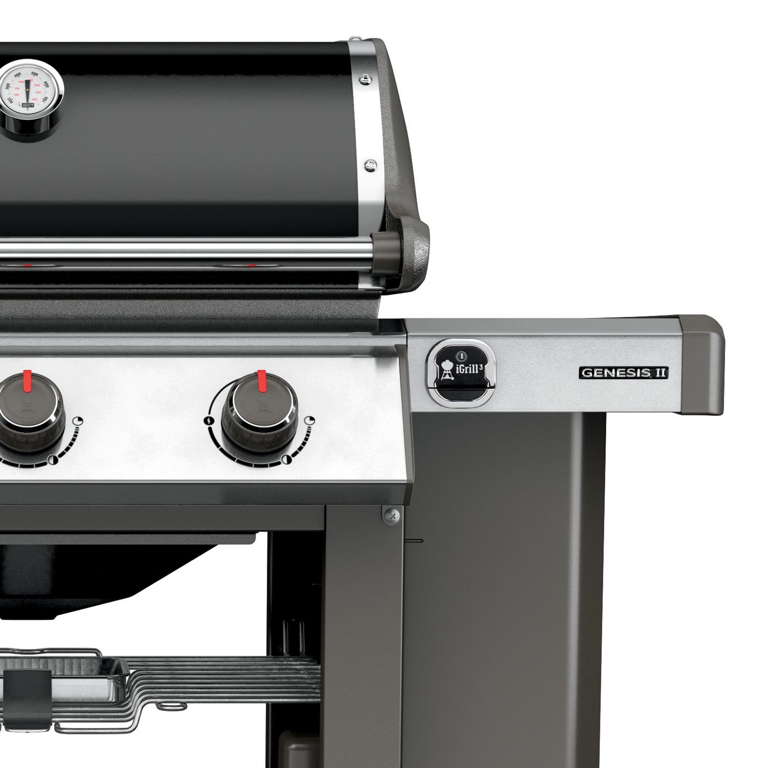Weber 61010001 Black Liquid Propane