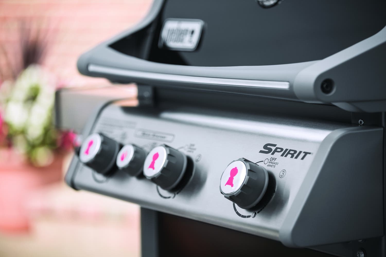 Weber 46810001 Black, Liquid Propane