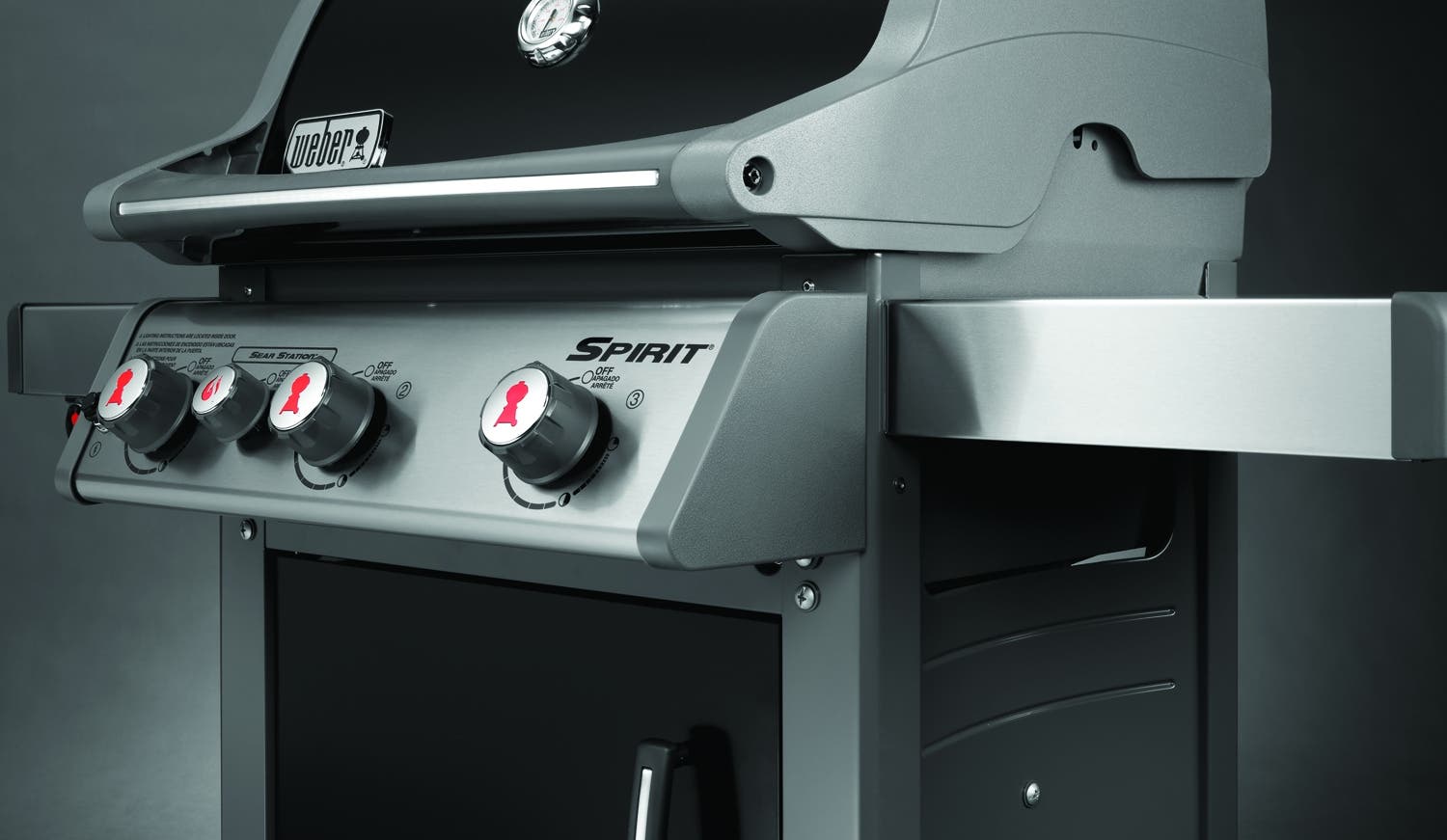 Weber 46810001 Black, Liquid Propane