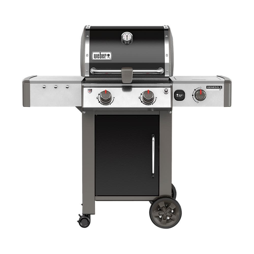 Weber 65014001 Black