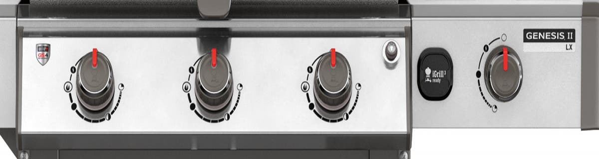 Weber 66014001 Black