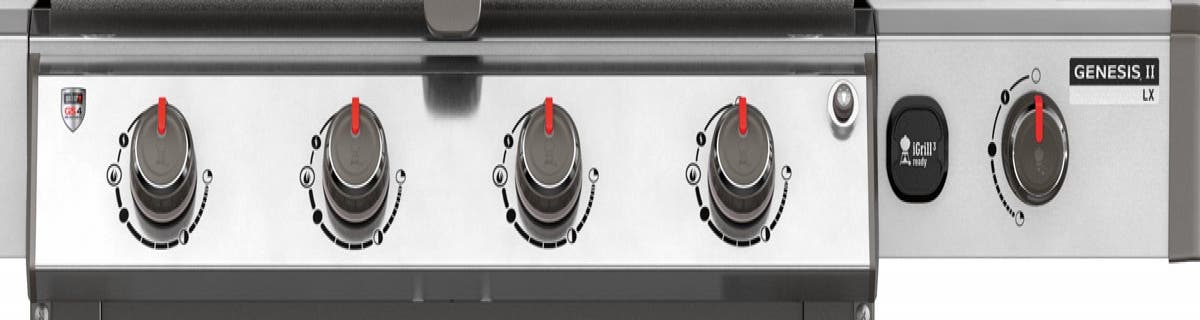 Weber 67004001 Stainless Steel