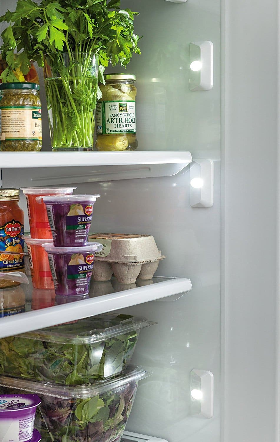 Frigidaire FPFU19F8RF Stainless Steel