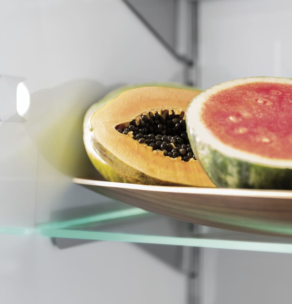 Monogram ZIR300NPKII Panel Ready
