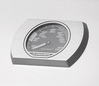 Napoleon R365PK Black