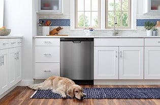 Frigidaire DGCD2444SD Black Stainless Steel