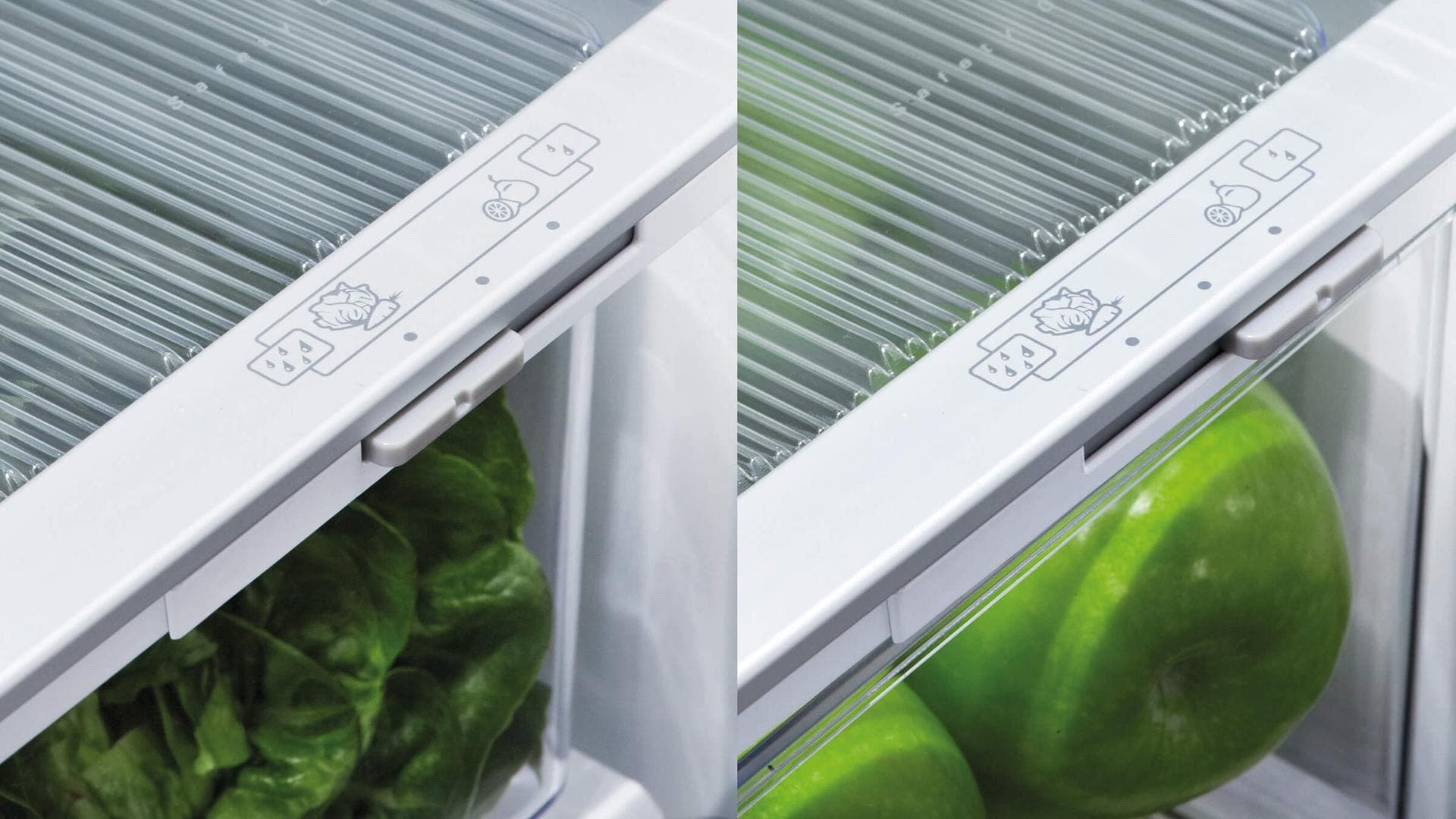 Fisher Paykel RF170BLPW6N White, Left Hinge