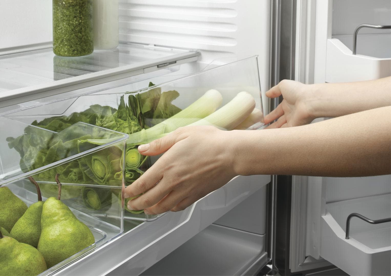 Fisher Paykel RF201ACJSX1N Stainless Steel