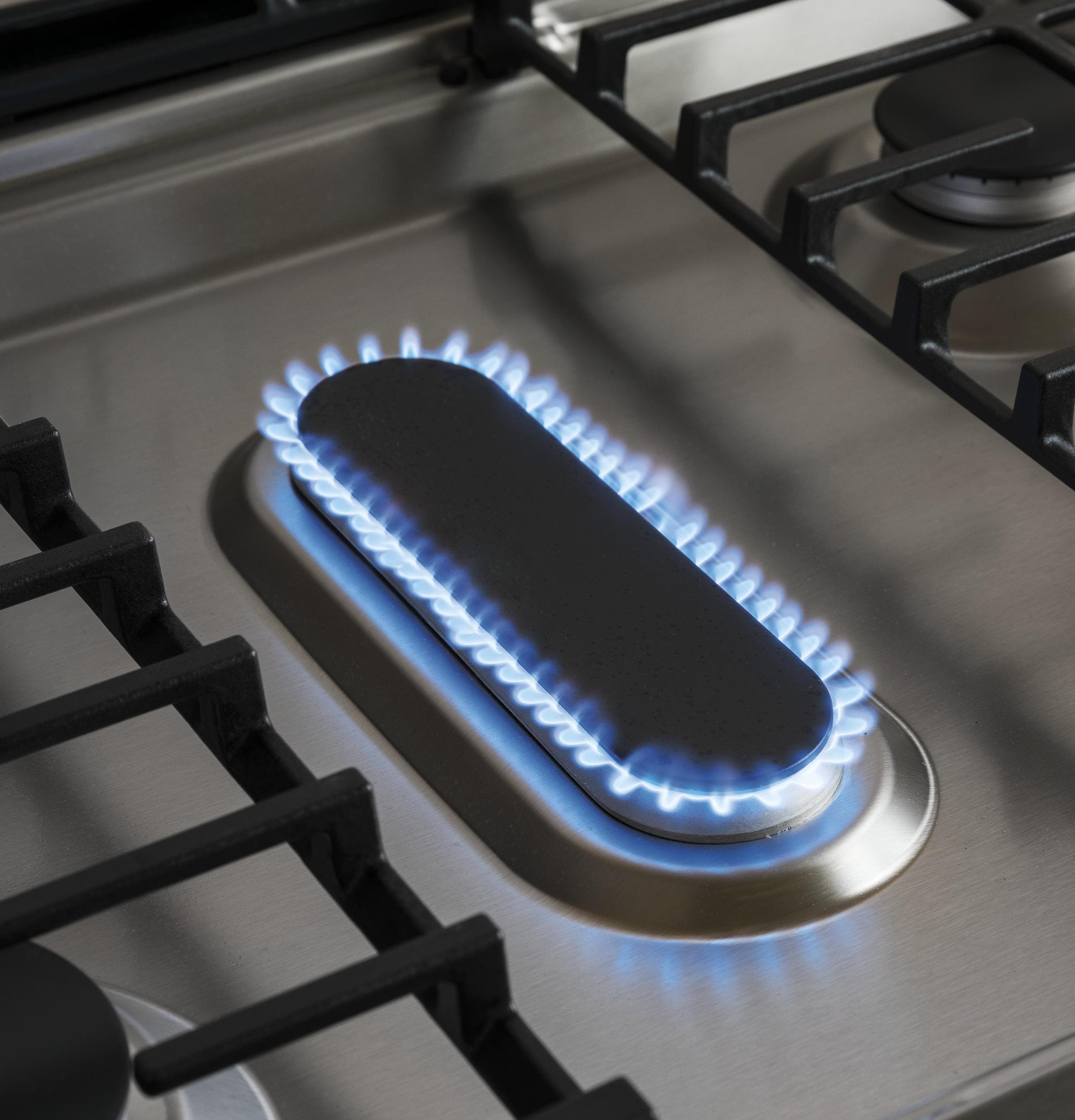 GE JGS760SELSS Stainless Steel