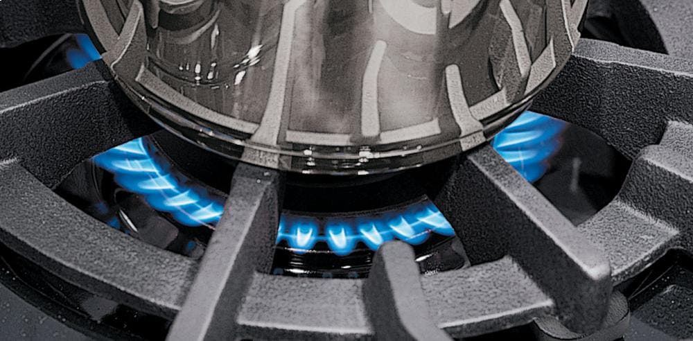 Wolf R488 Natural Gas