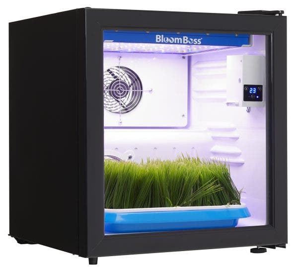 Danby DFG17A1B Black