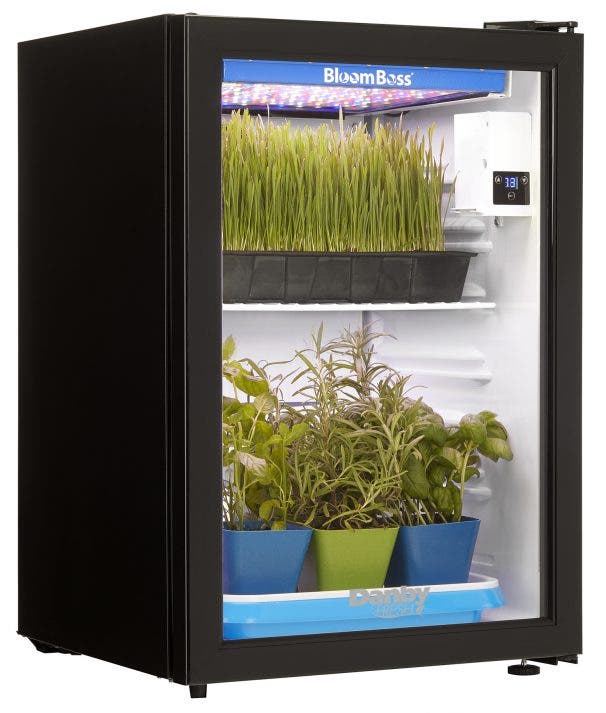 Danby DFG26A1B Black