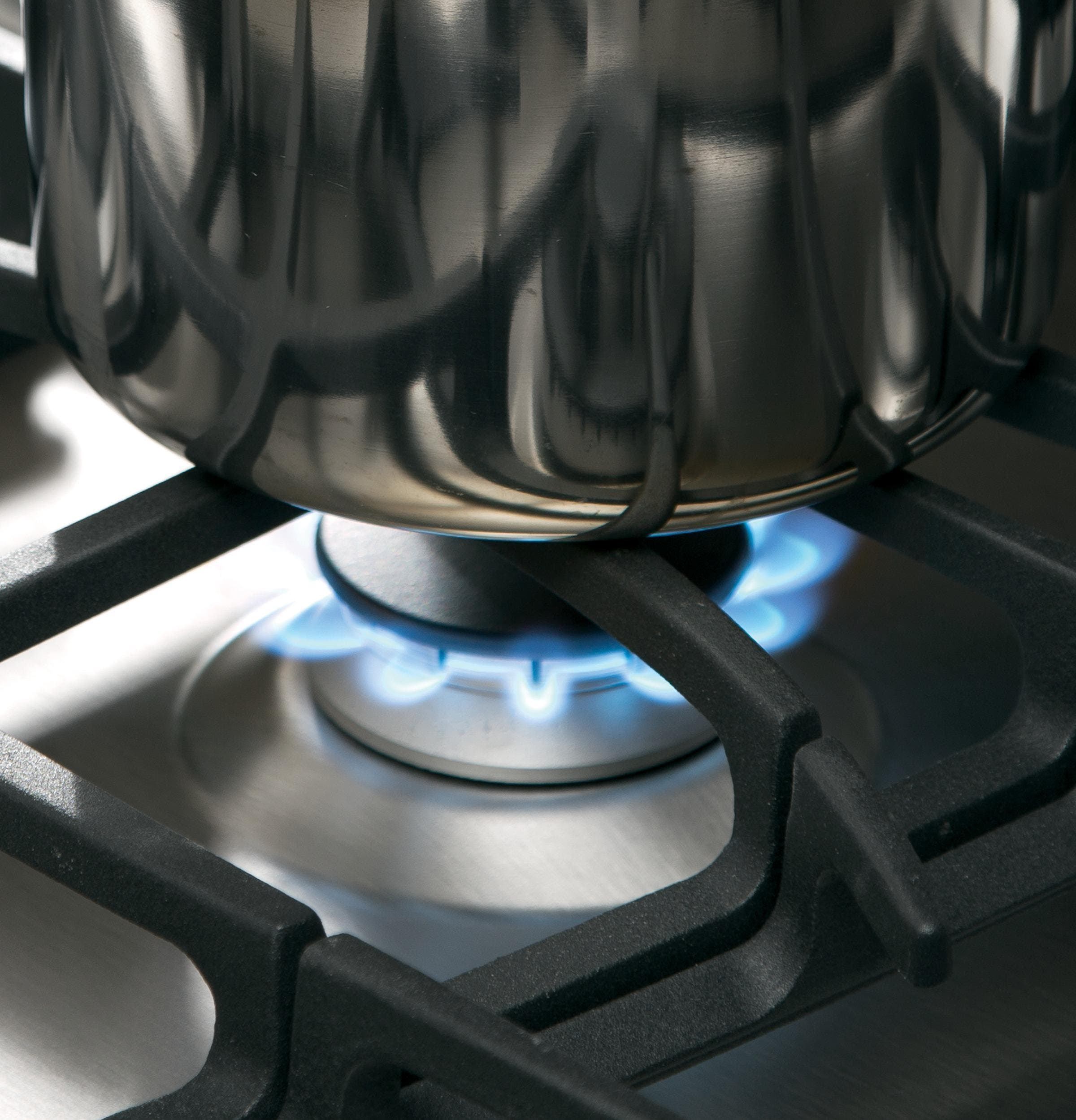 GE JGS750SEFSS Stainless Steel/gray