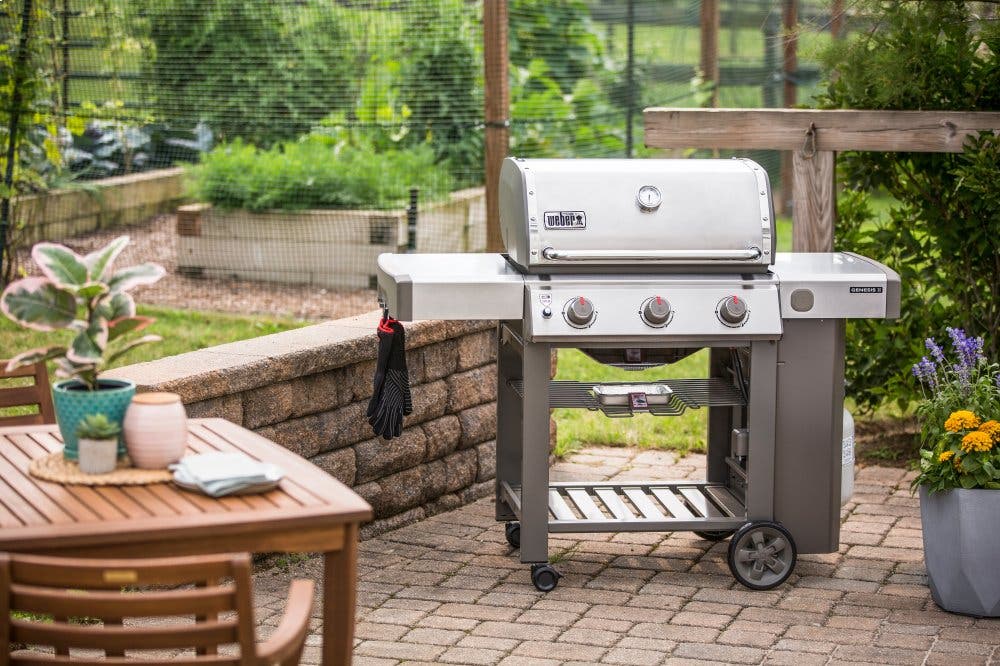 Weber 61001001
