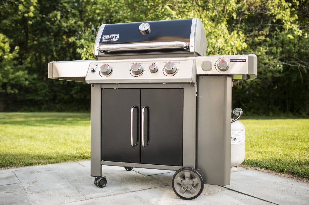 Weber 61016001 Black, Liquid Propane