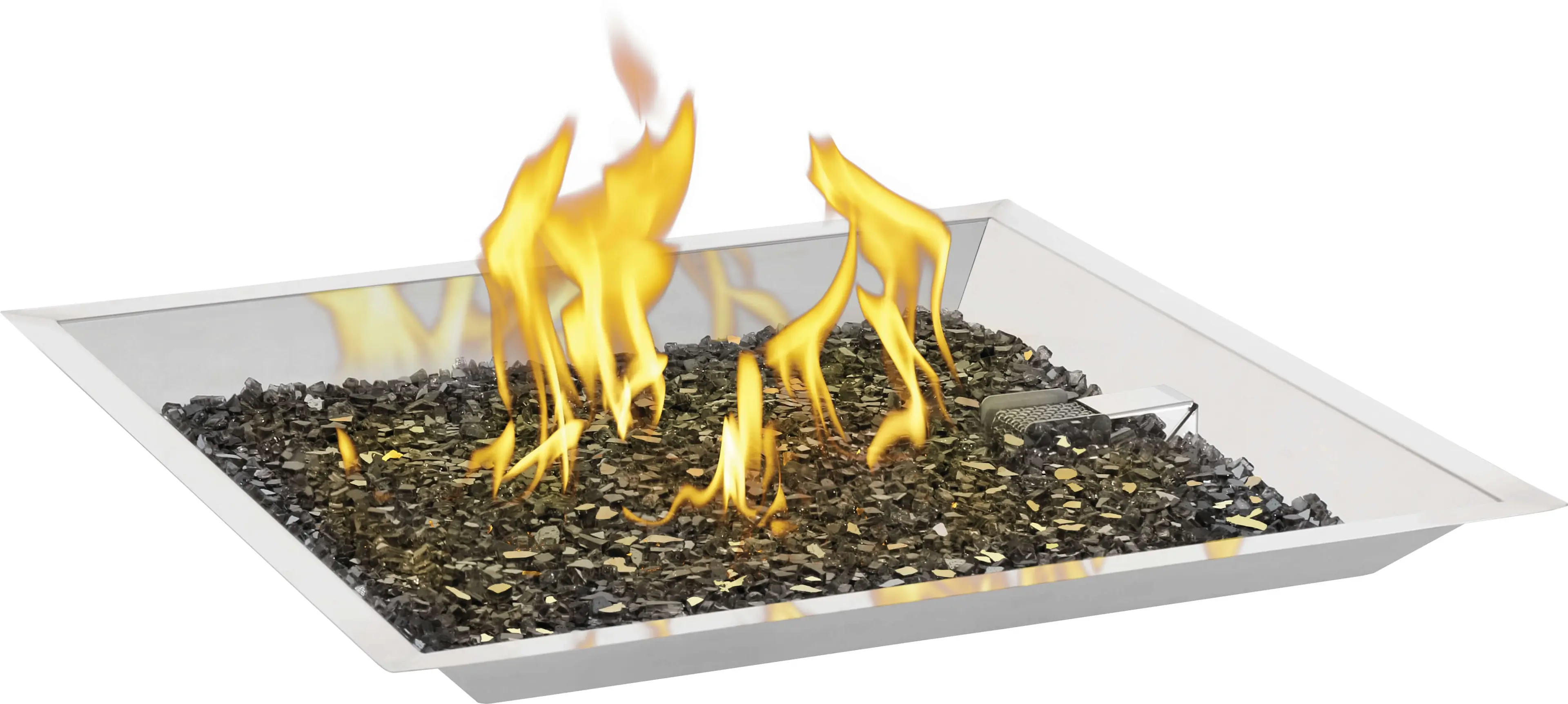 Napoleon GPFS60 Stainless Steel, Liquid Propane 
