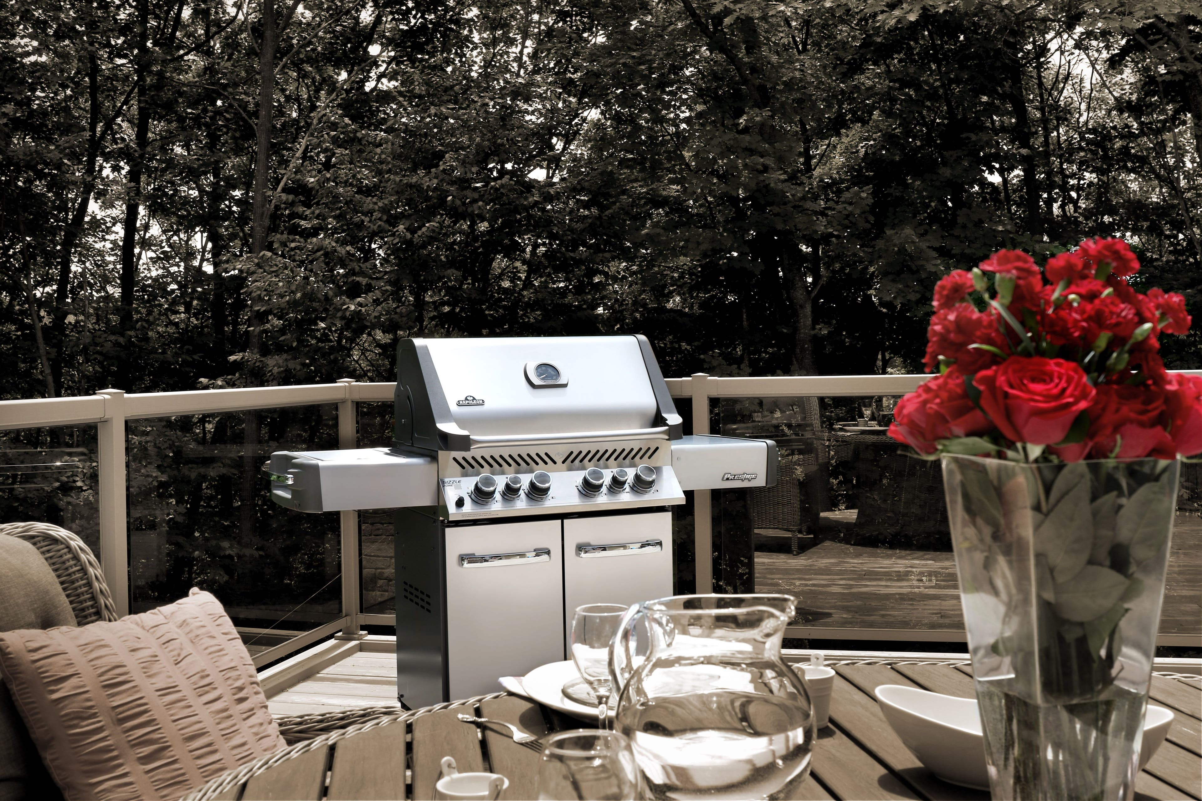 Napoleon P500RSIBNSS1 Natural Gas, Stainless Steel
