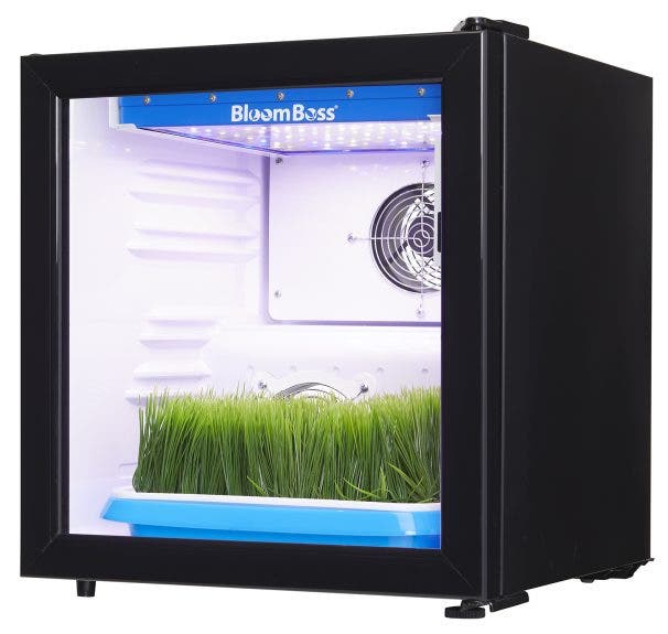 Danby DFG17A1B Black