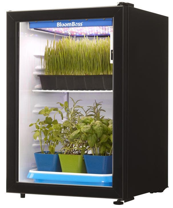 Danby DFG26A1B Black