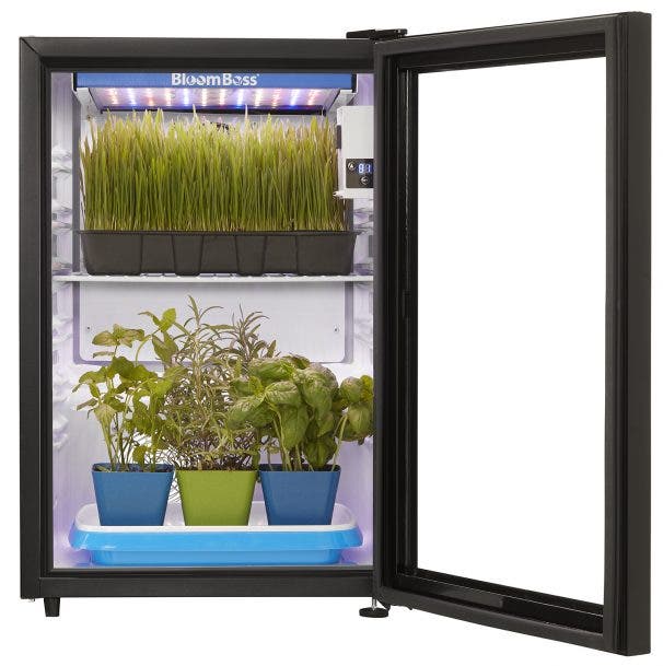 Danby DFG26A1B Black