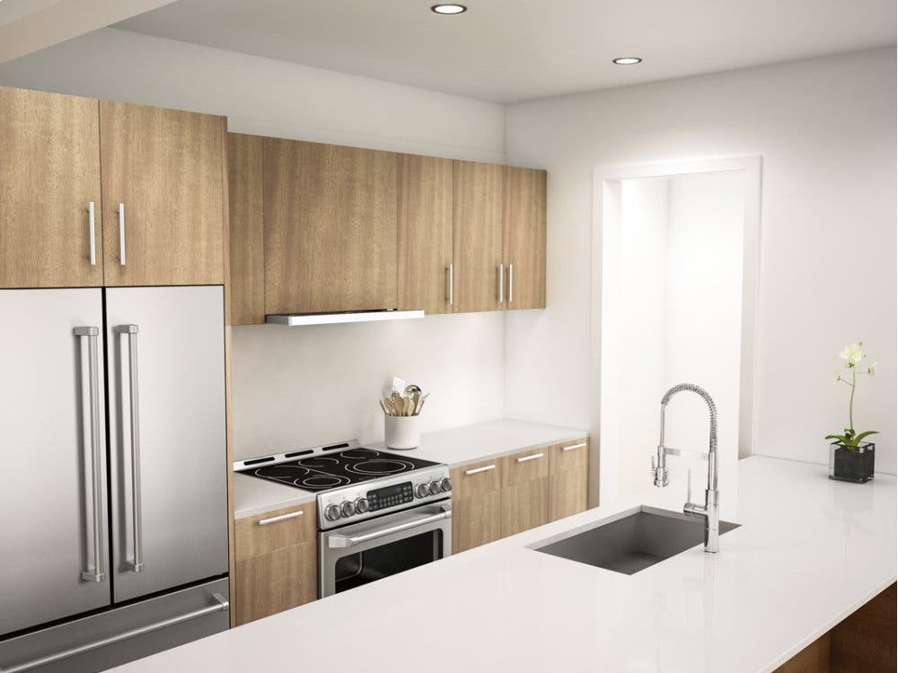 Zephyr ZPIE24AG Stainless Steel Trim with Glass, 500 CFM