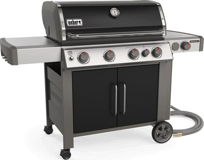 Weber 67016001 Black, Natural Gas